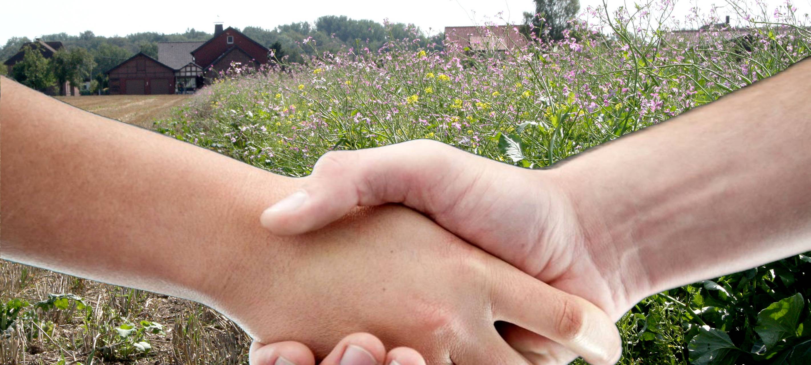 Mehr Geld für Garten- und Landschaftsbau