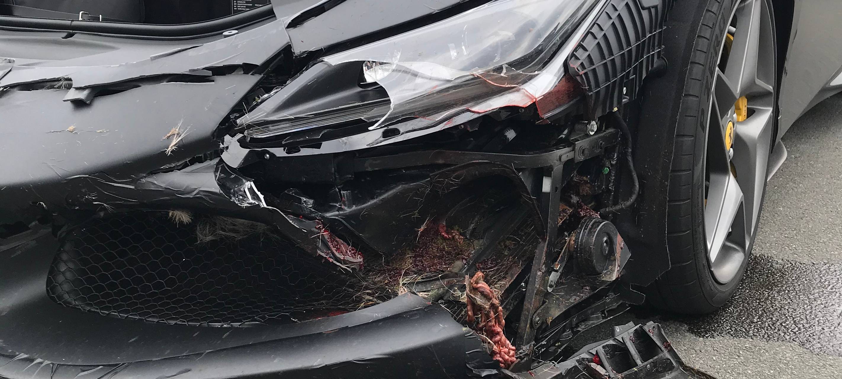 Neuer Ferrari kollidierte mit einem Reh