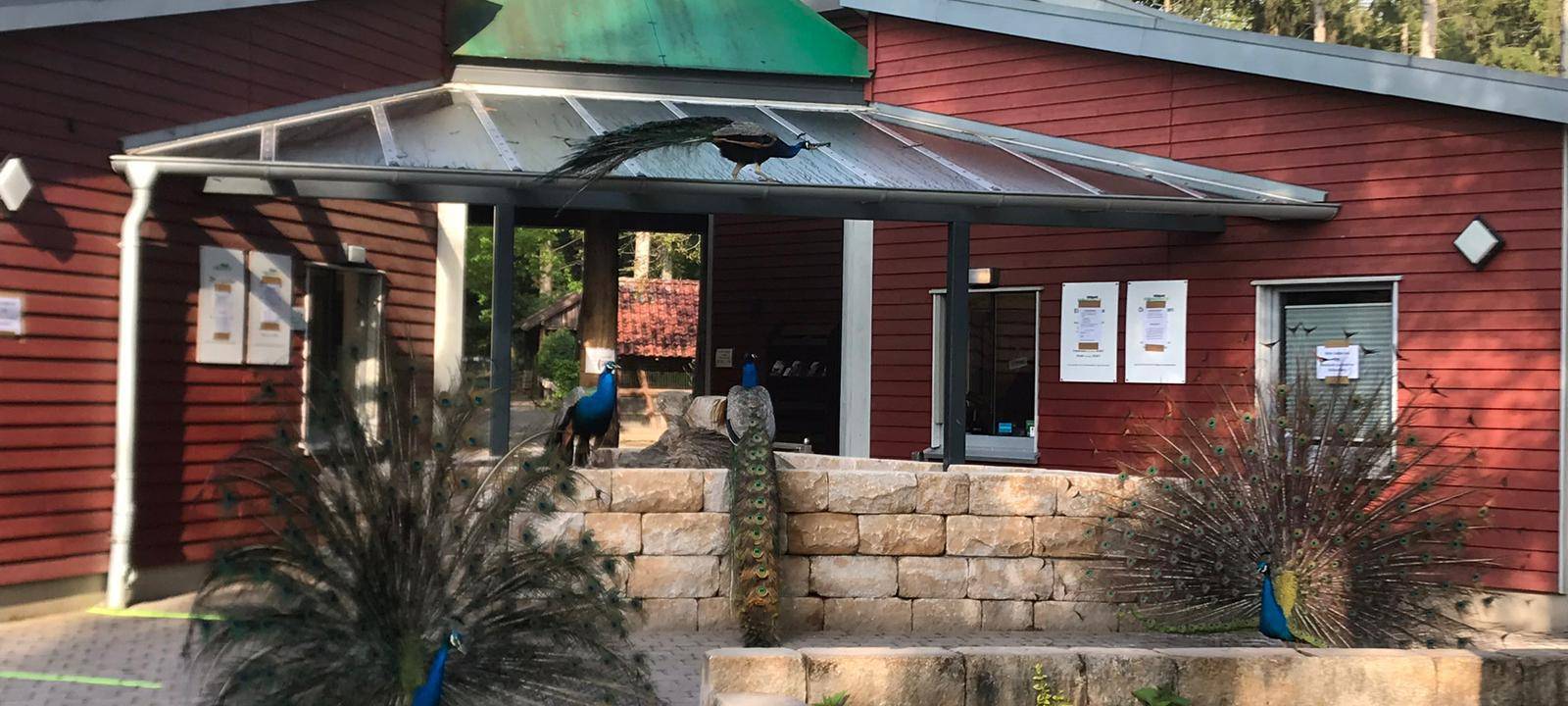 Freizeittipps zu Pfingsten 2021 im Kreis Borken