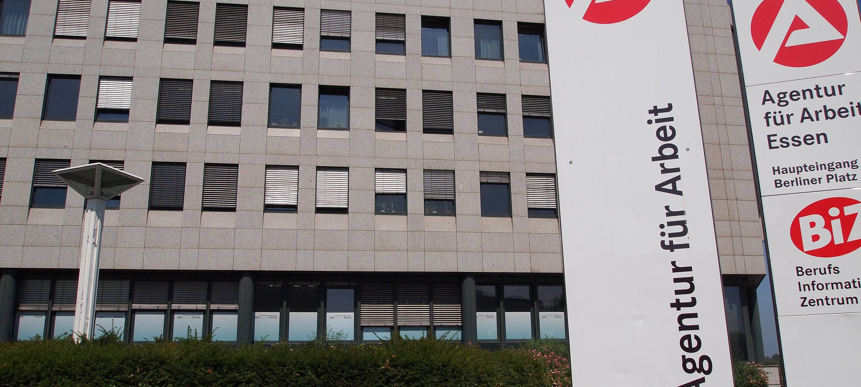 Online über Freiwilligendienste informieren