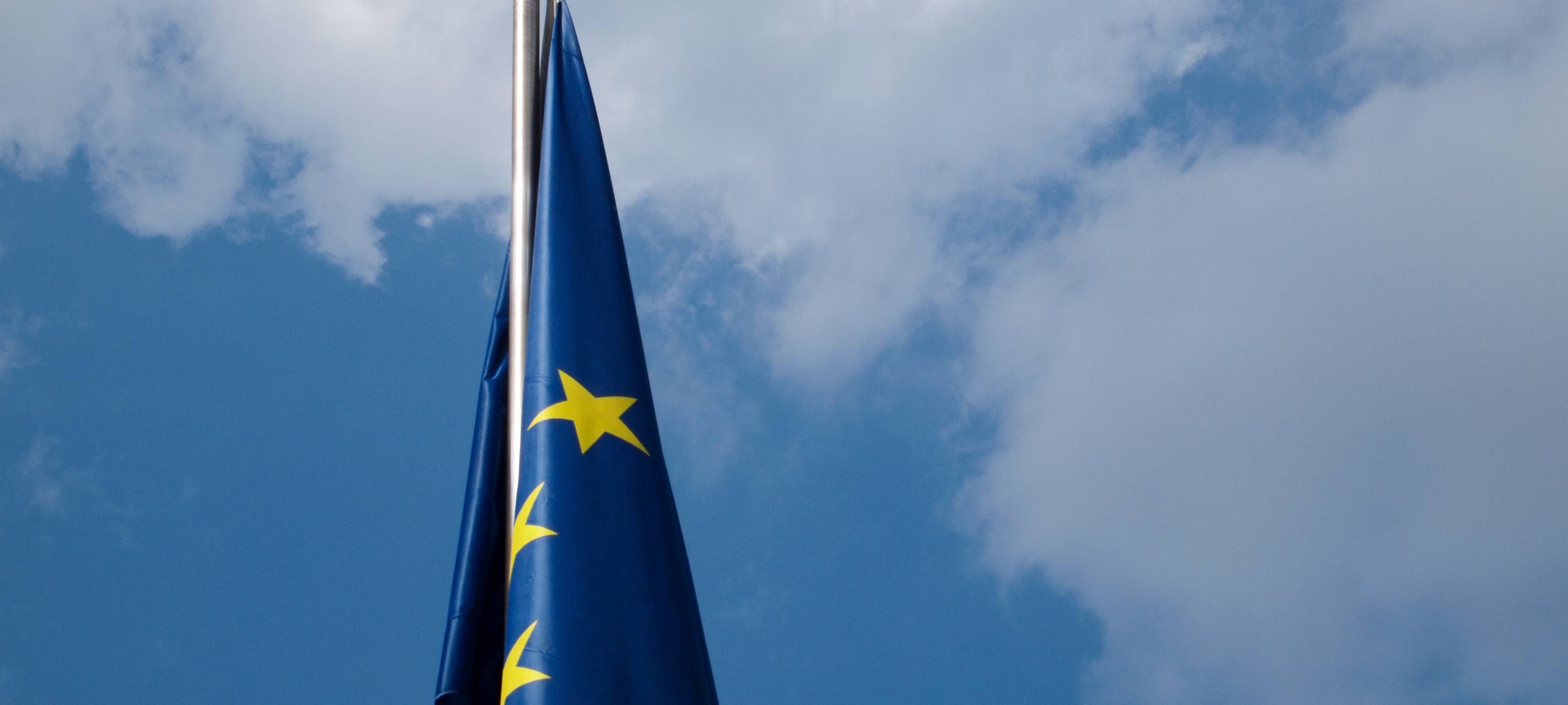 Online Veranstaltung mit EU Kommission
