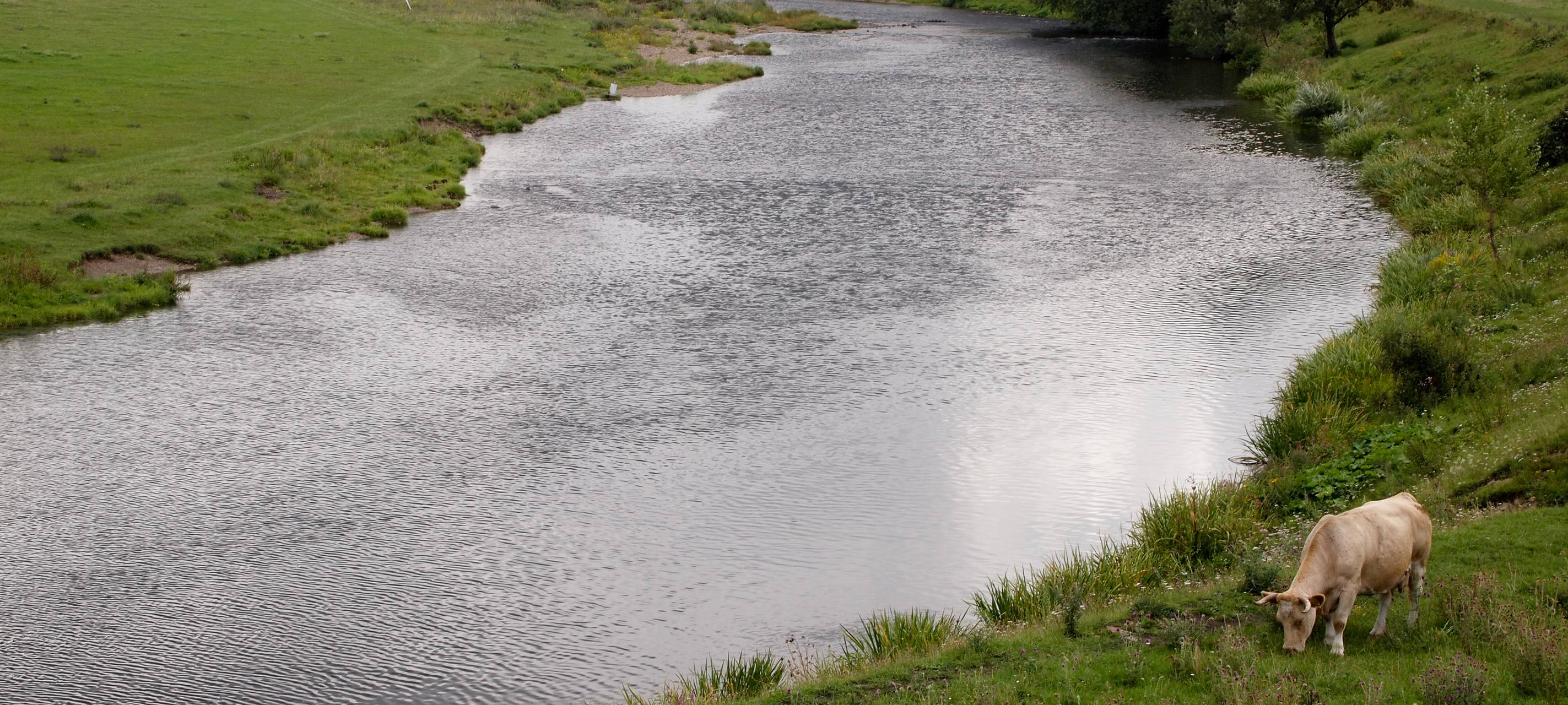 DLRG mahnt - Nicht in unbewachten Gewässern baden
