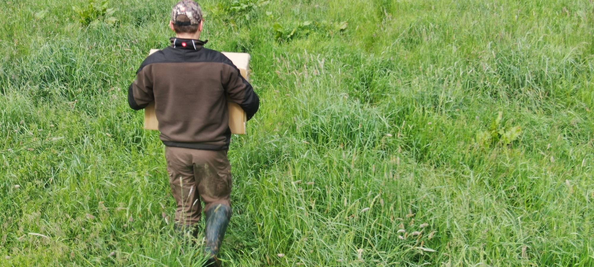 Rehkitz-Rettung im Kreis Borken - bitte nicht anfassen