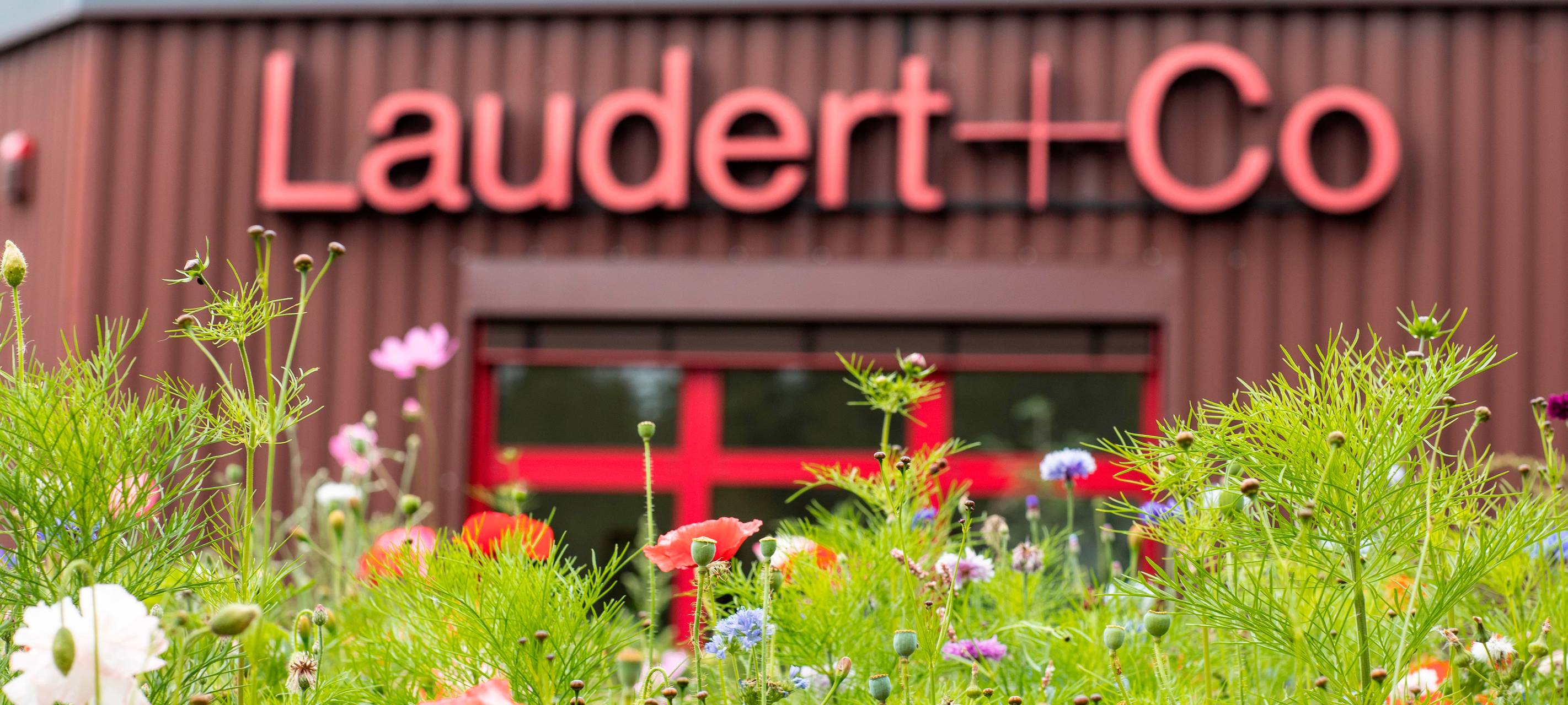 #22 Laudert aus Vreden