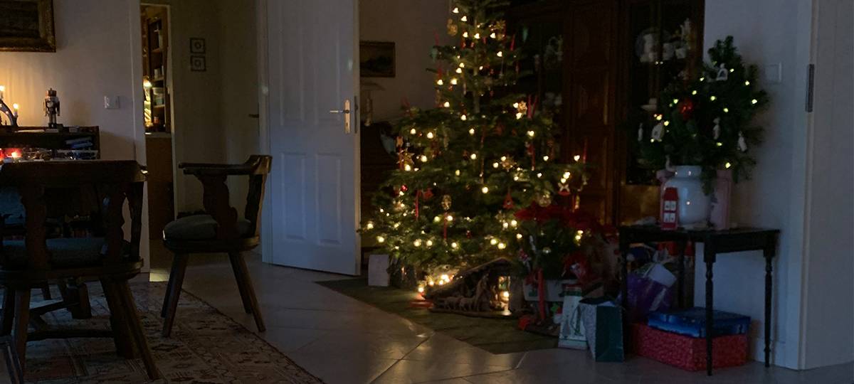 Weihnachtsbaum Abholaktionen