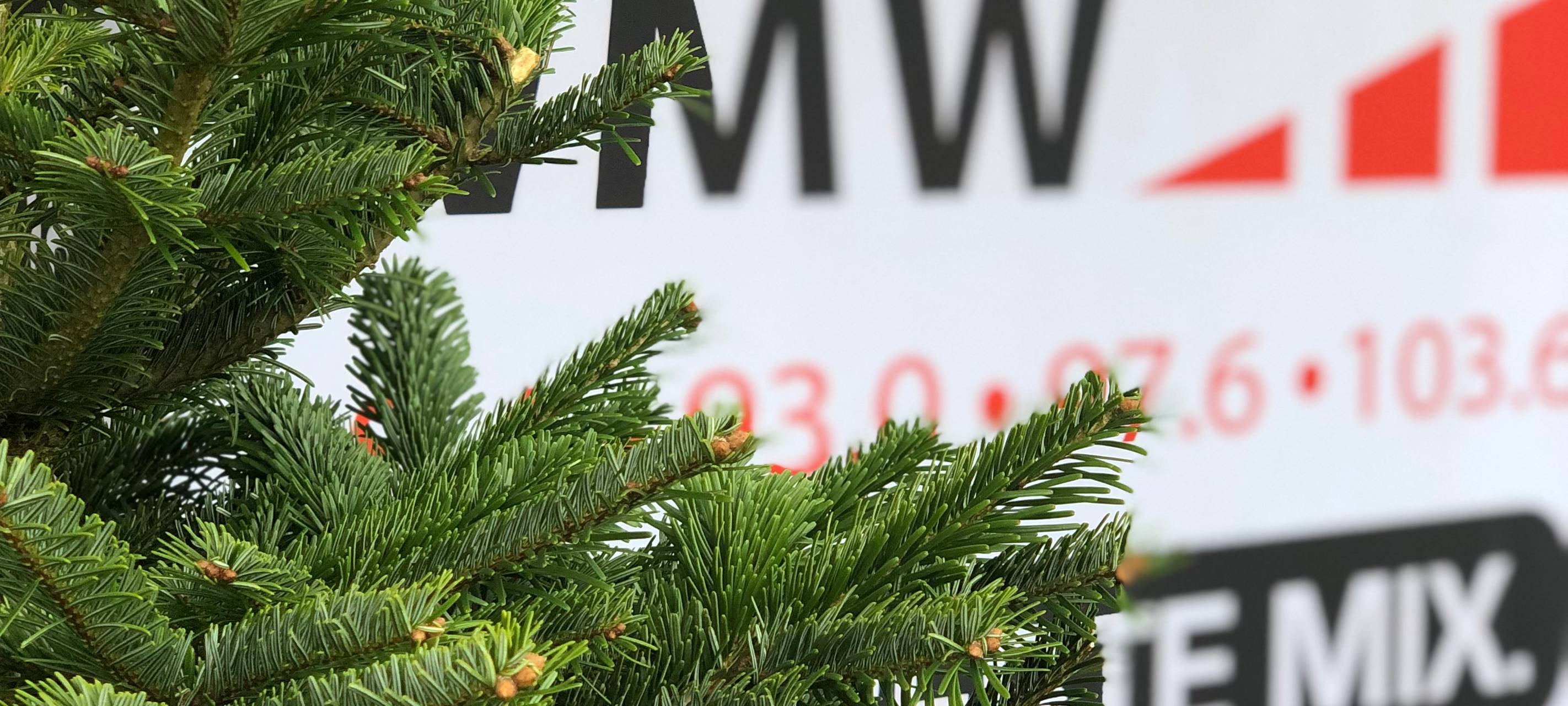 1000€ für die KLJB Borkenwirthe