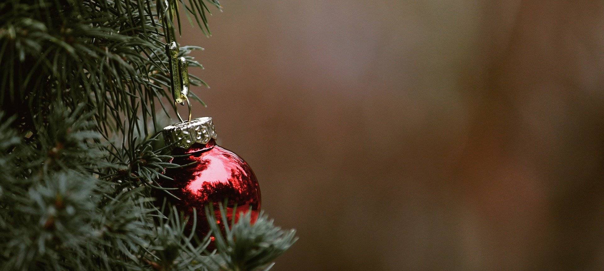 Weihnachtsbaum-Abholaktion 2022