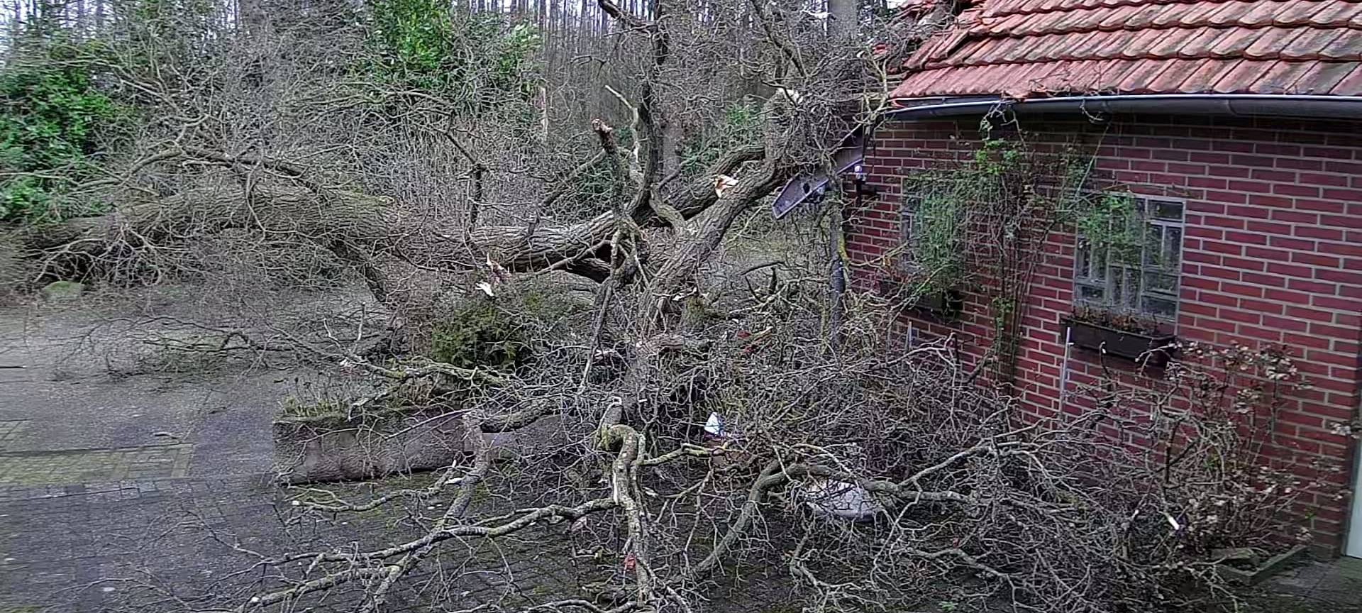 Sturmtief Antonia hat Folgen für den Bahnverkehr