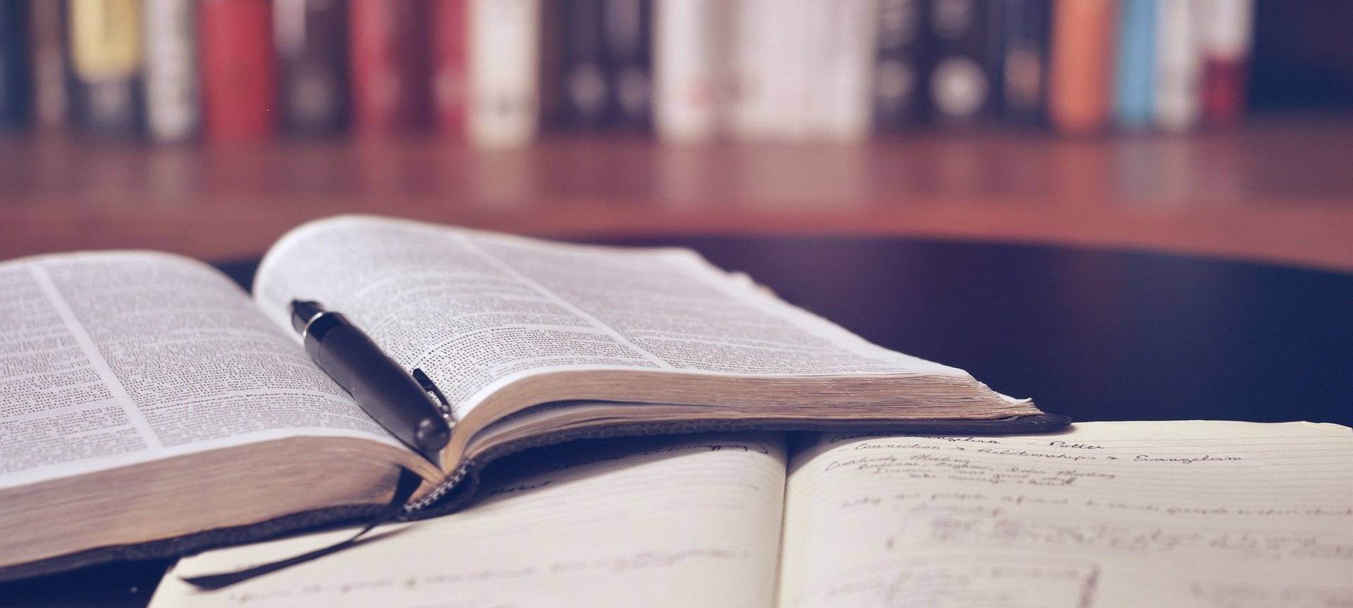 Zu viele Anmeldungen an Borkener Gesamtschule
