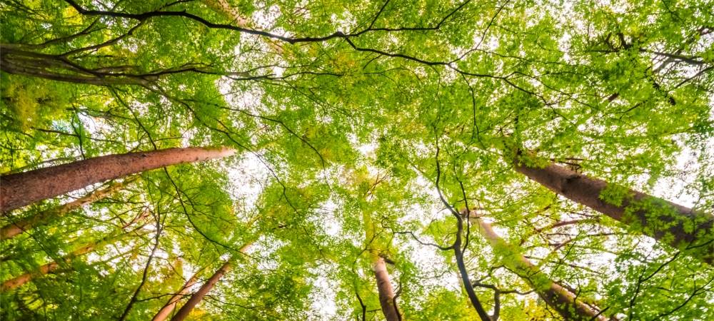 Workshop Klimaschutzkonzept Raesfeld