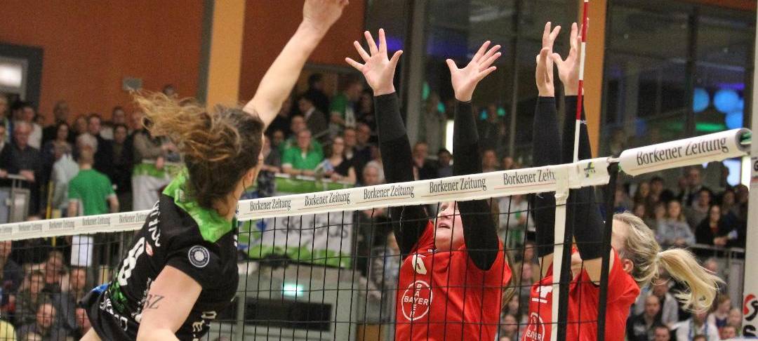 Skurios Volleys: Letztes Heimspiel vor Weihnachtspause