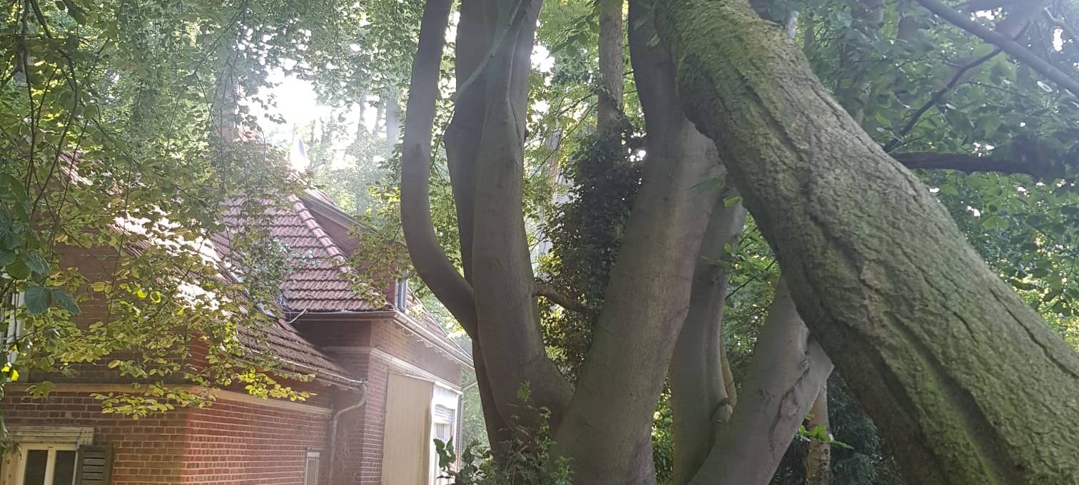 Große Sturmschäden im Schlossgarten Ahaus vom Donnerstag