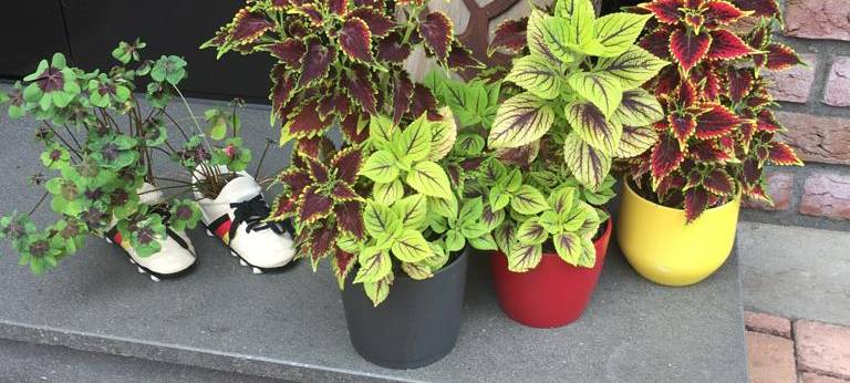 Marina Hegering im XXL-Interview