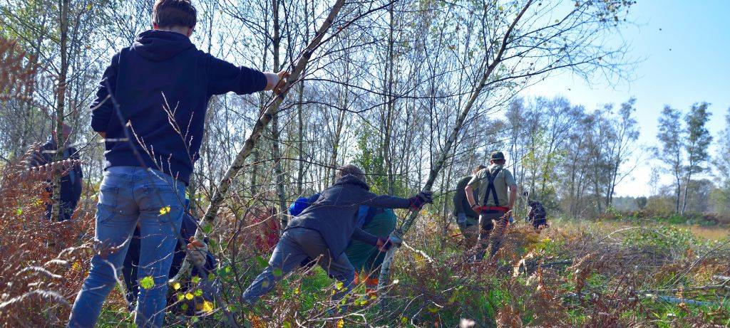 Helfer für Naturschutzarbeiten in Alstätte gesucht