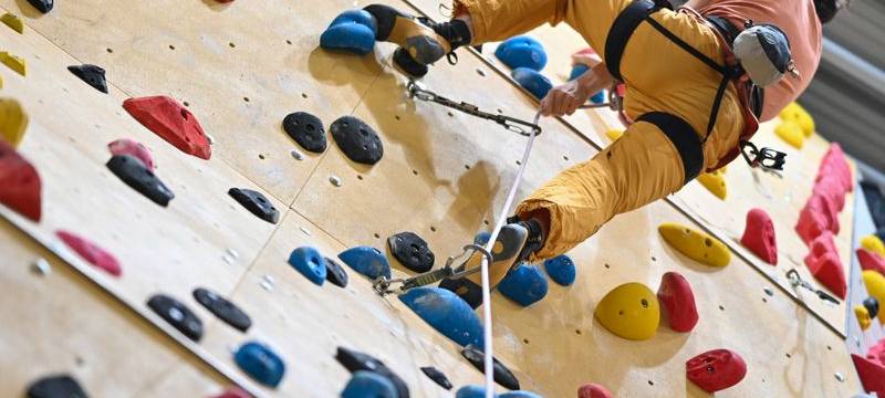 Projektförderung im Wert von einer halben Million Euro