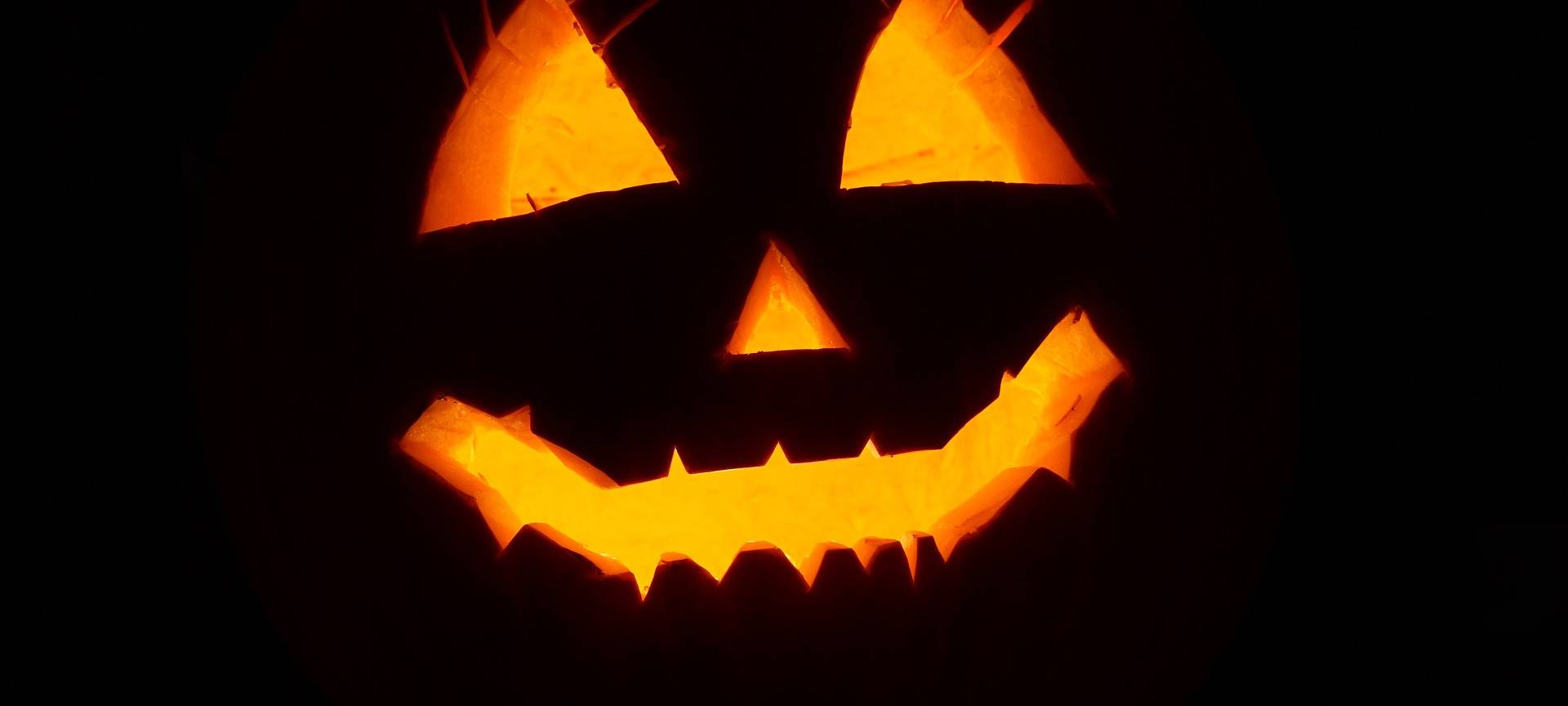 Garden of Horror! Halloween in Bocholt