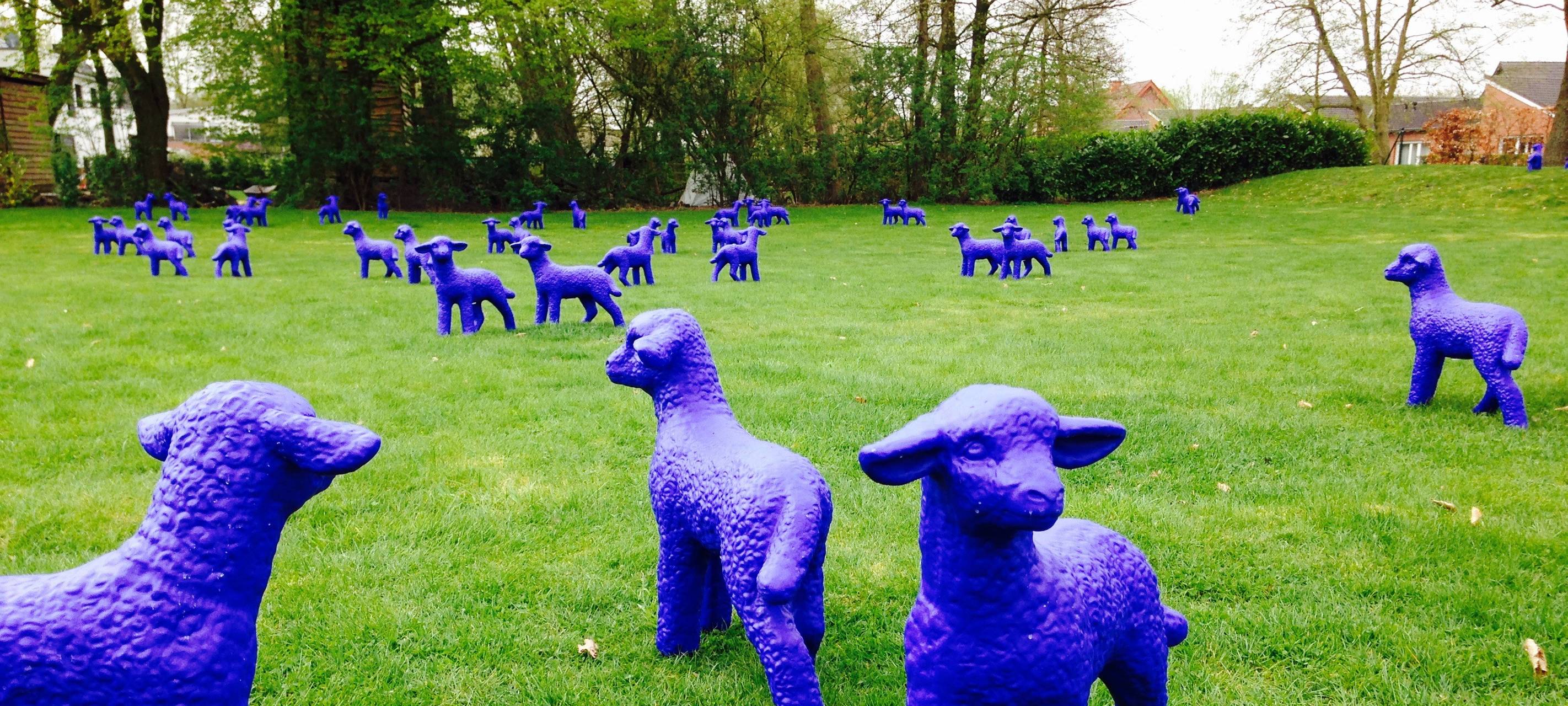 Blaue Lämmer kommen nach Schöppingen