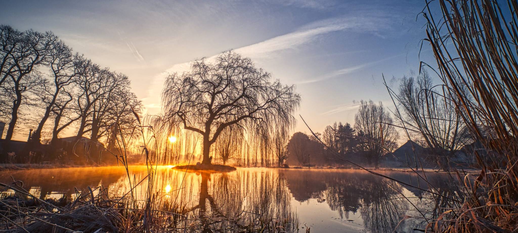 Dein Foto der Woche 2023