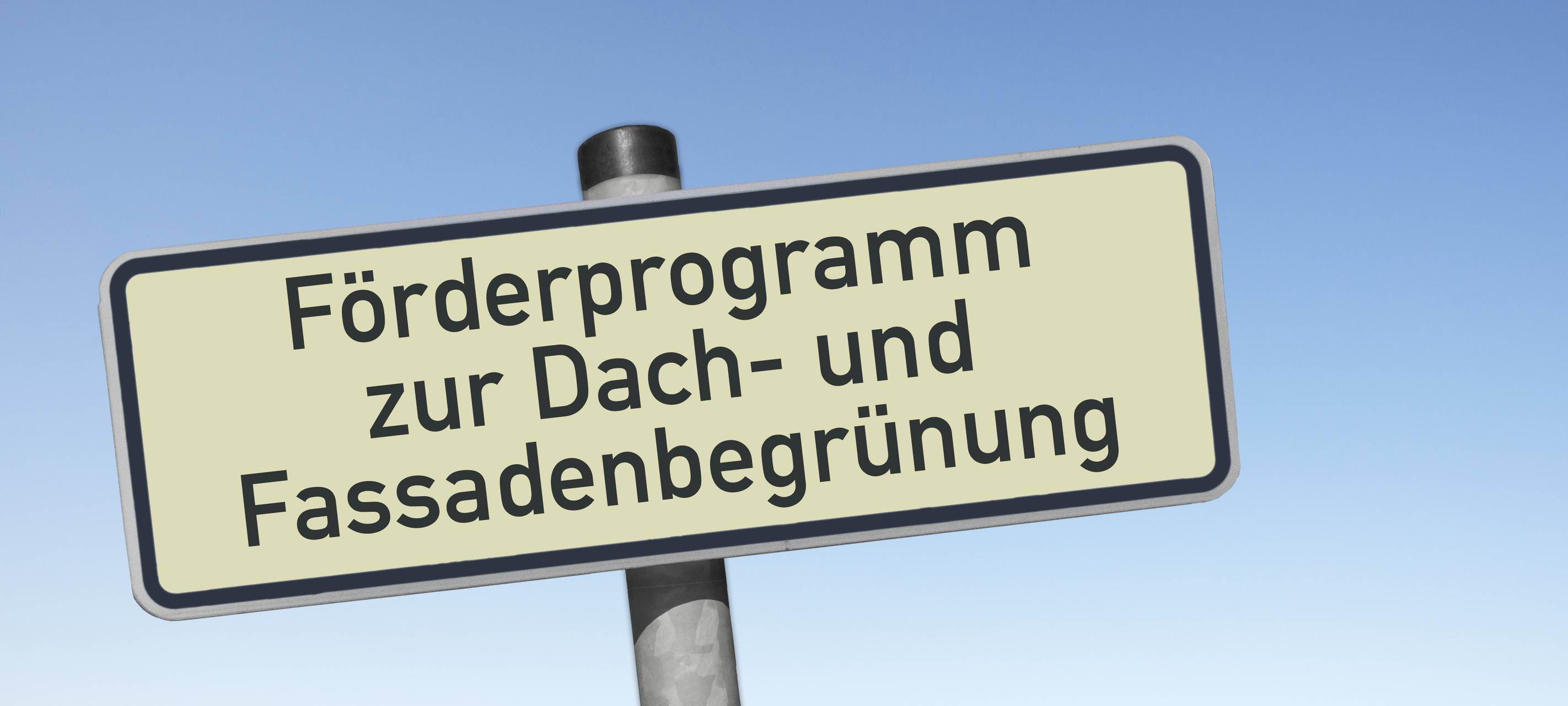 Fördermittel für Dach- und Fassadenbegrünung in Ahaus