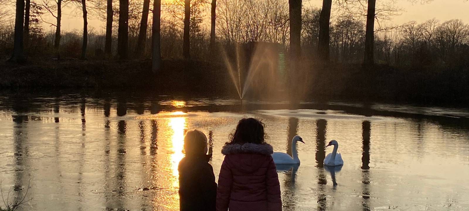 Dein Foto der Woche 2023