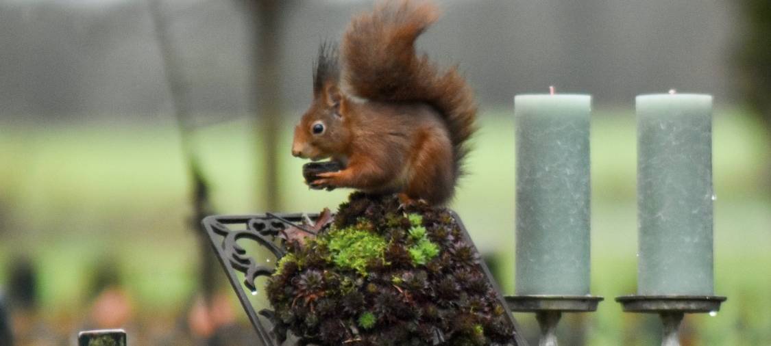 Dein Foto der Woche 2023