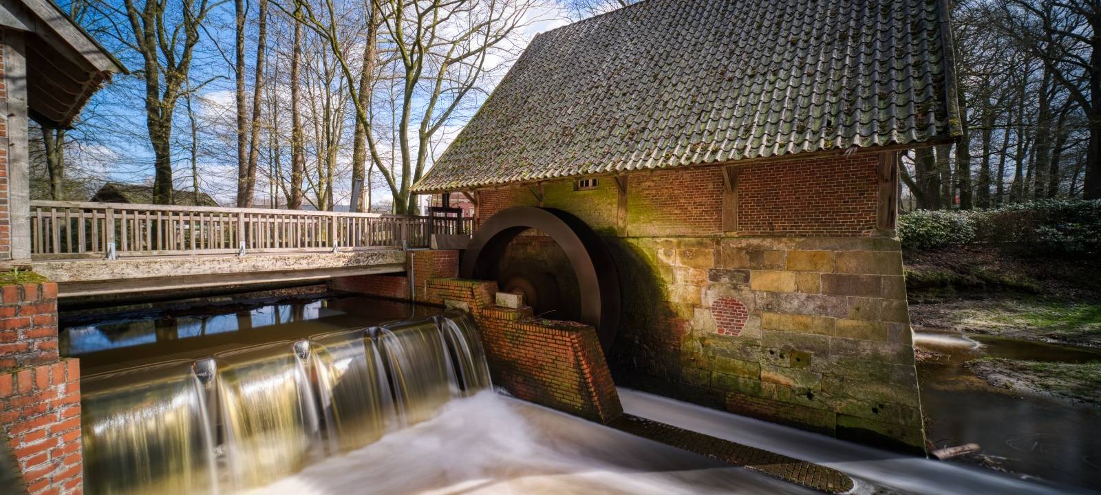 Dein Foto der Woche 2023