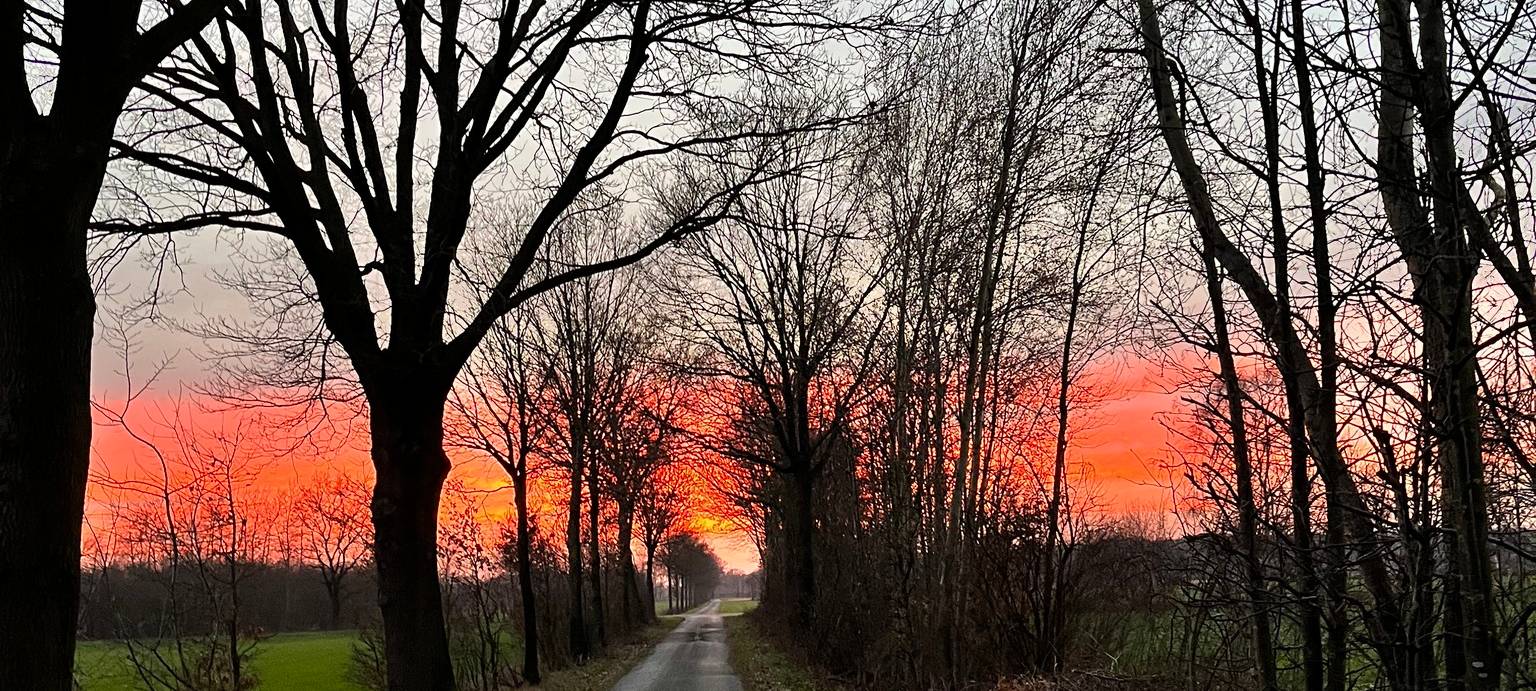 Dein Foto der Woche 2023