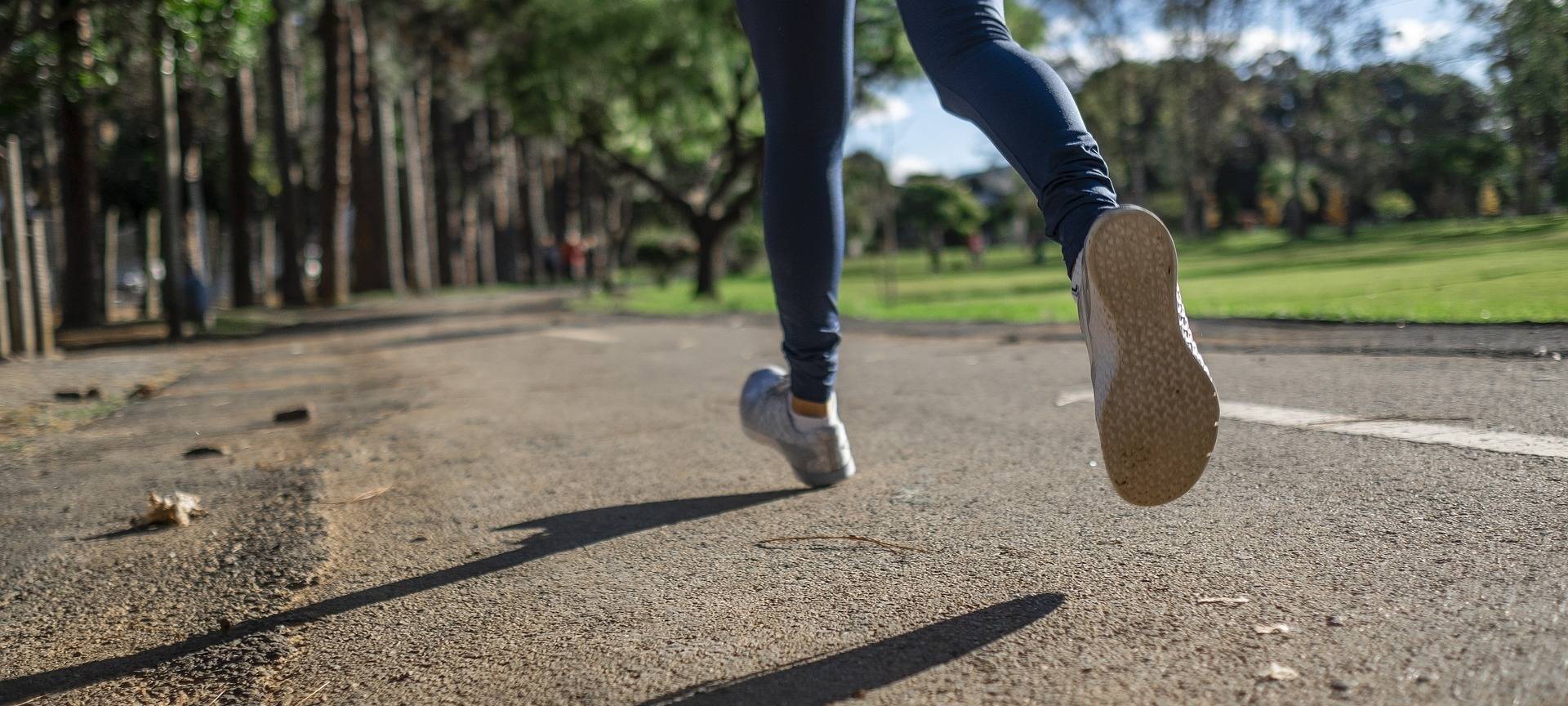 Bussard greift Joggerin an