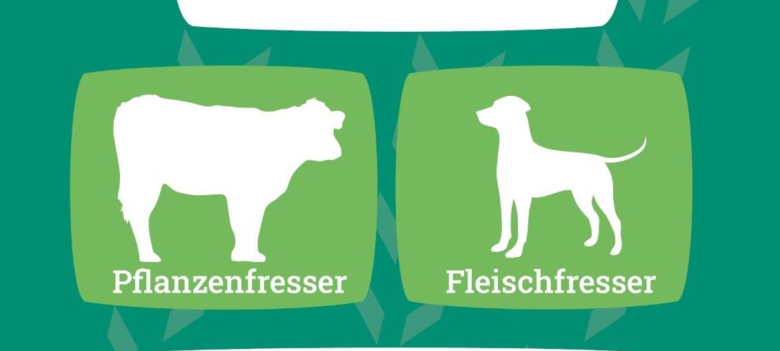 Hundekot gleich Kälbchentot?