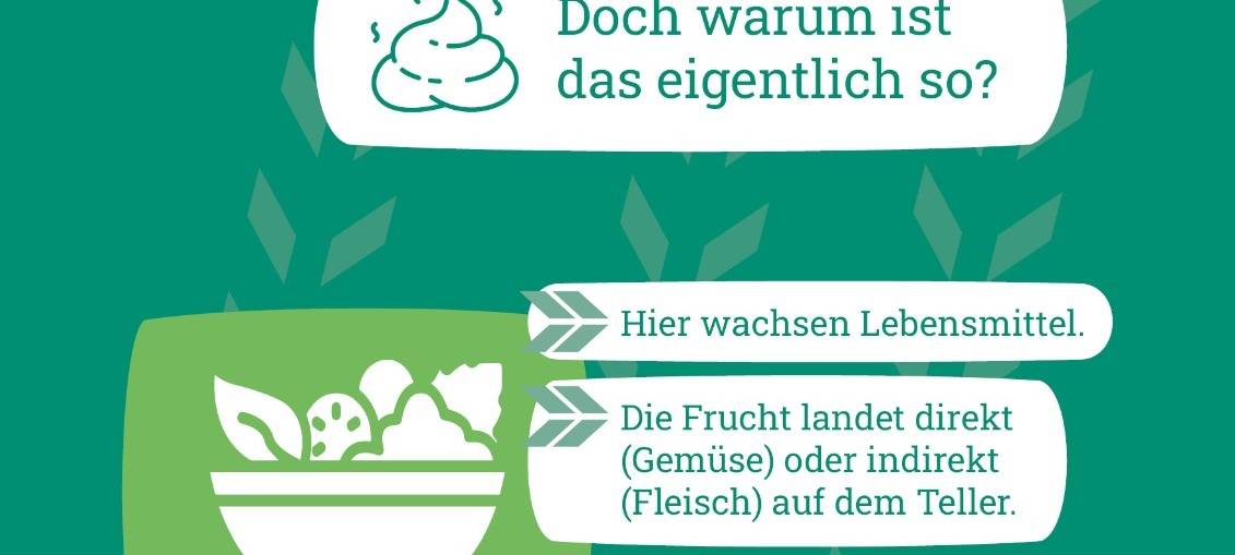 Hundekot gleich Kälbchentot?