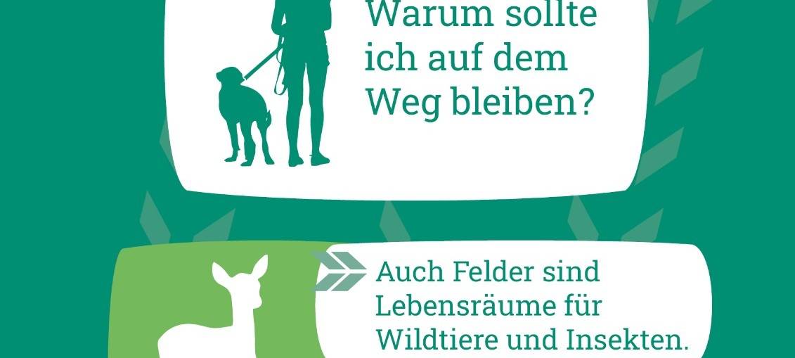 Hundekot gleich Kälbchentot?