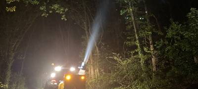 Bekämpfung von Eichenprozessionsspinnern in Südlohn
