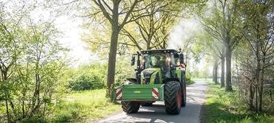Stadt Bocholt im Einsatz gegen Eichenprozessionsspinner
