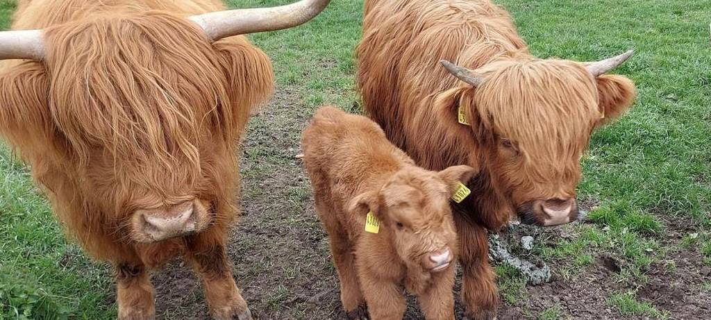 Dein Foto der Woche 2023