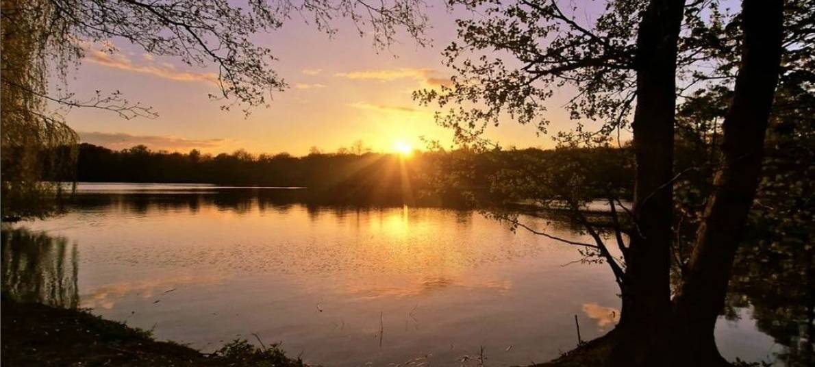 Dein Foto der Woche 2023