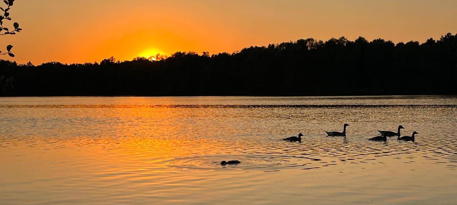 Dein Foto der Woche 2023