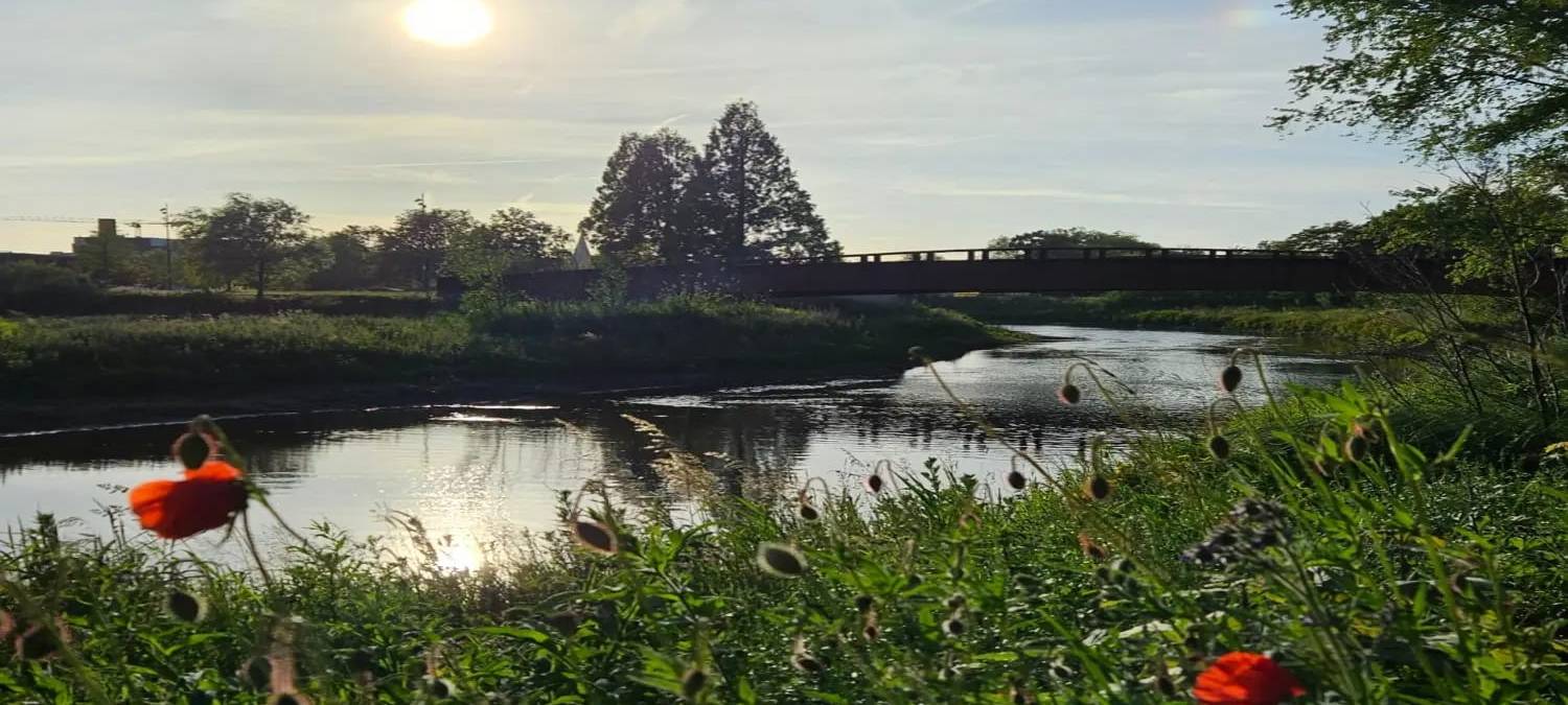 Dein Foto der Woche 2023