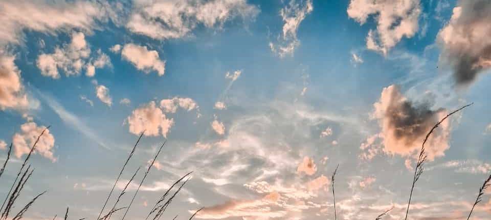 Dein Foto der Woche 2023