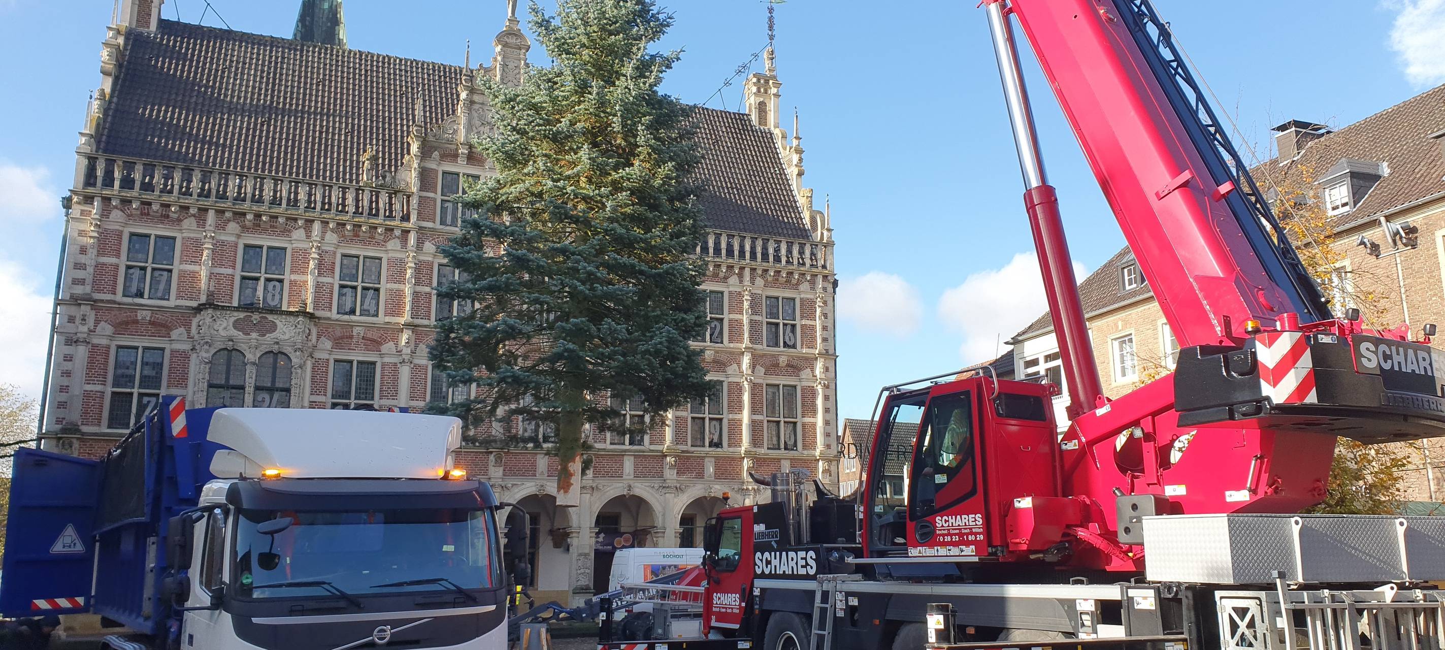 Stadt Bocholt sucht große Tannen
