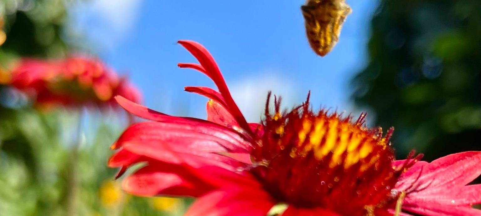 Dein Foto der Woche 2023