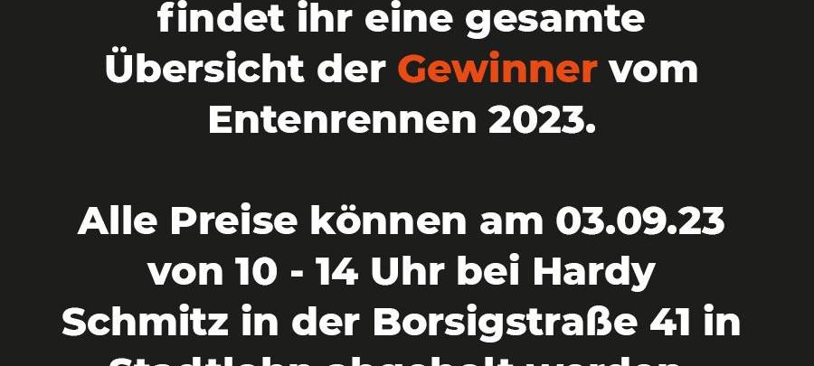 Das sind die Gewinner des Entenrennens