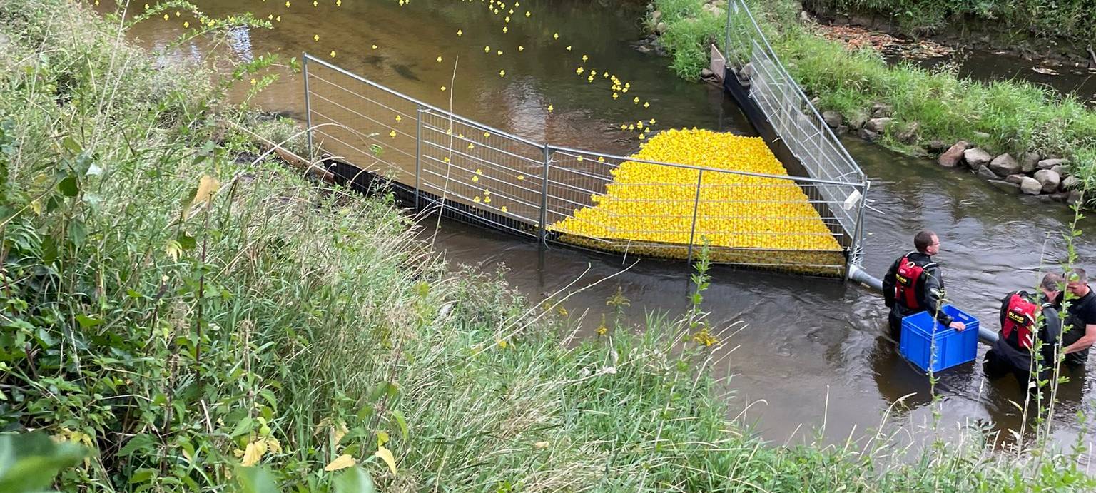 Das sind die Gewinner des Entenrennens