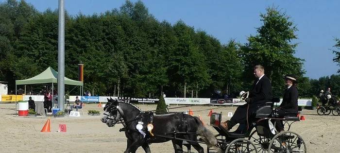Großer Reitwettkampf in Epe