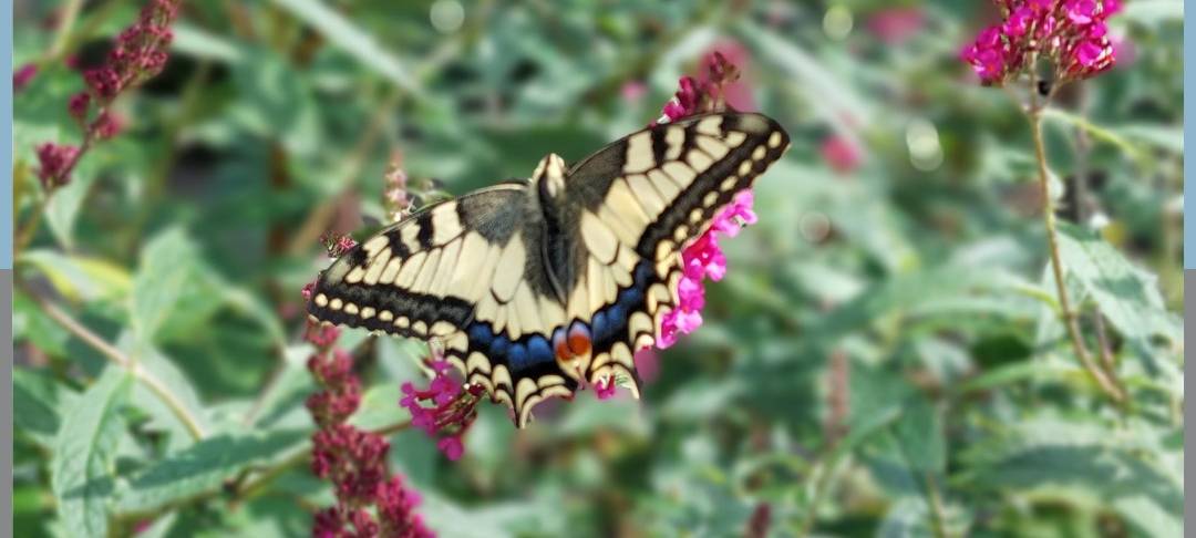 Dein Foto der Woche 2023