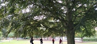 "Sport im Quartier" in Bocholt
