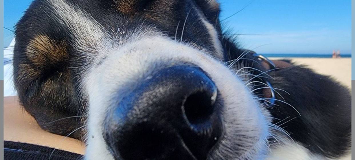 Dein Foto der Woche 2023