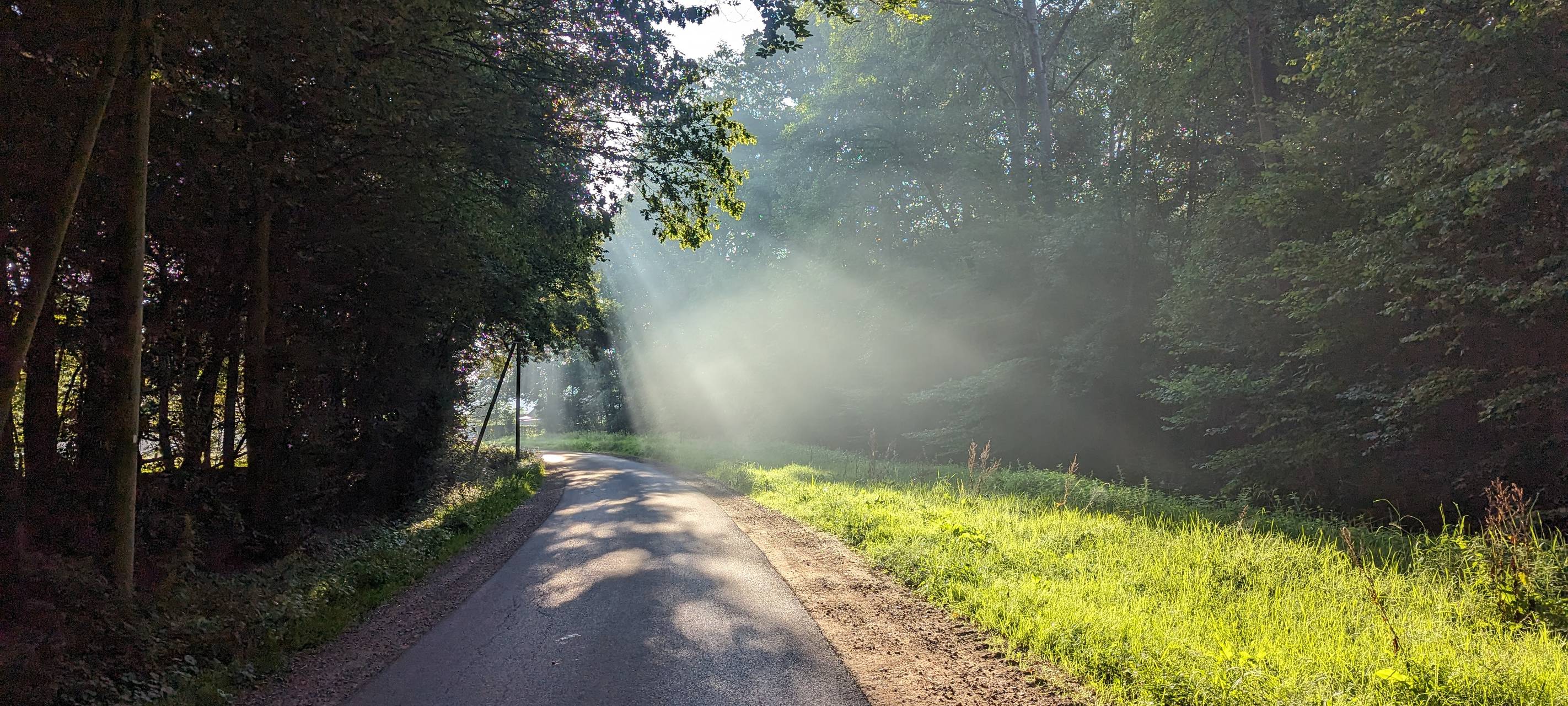 Afrikanische Schweinepest: Kreis Borken ruft Jäger zur Mithilfe auf