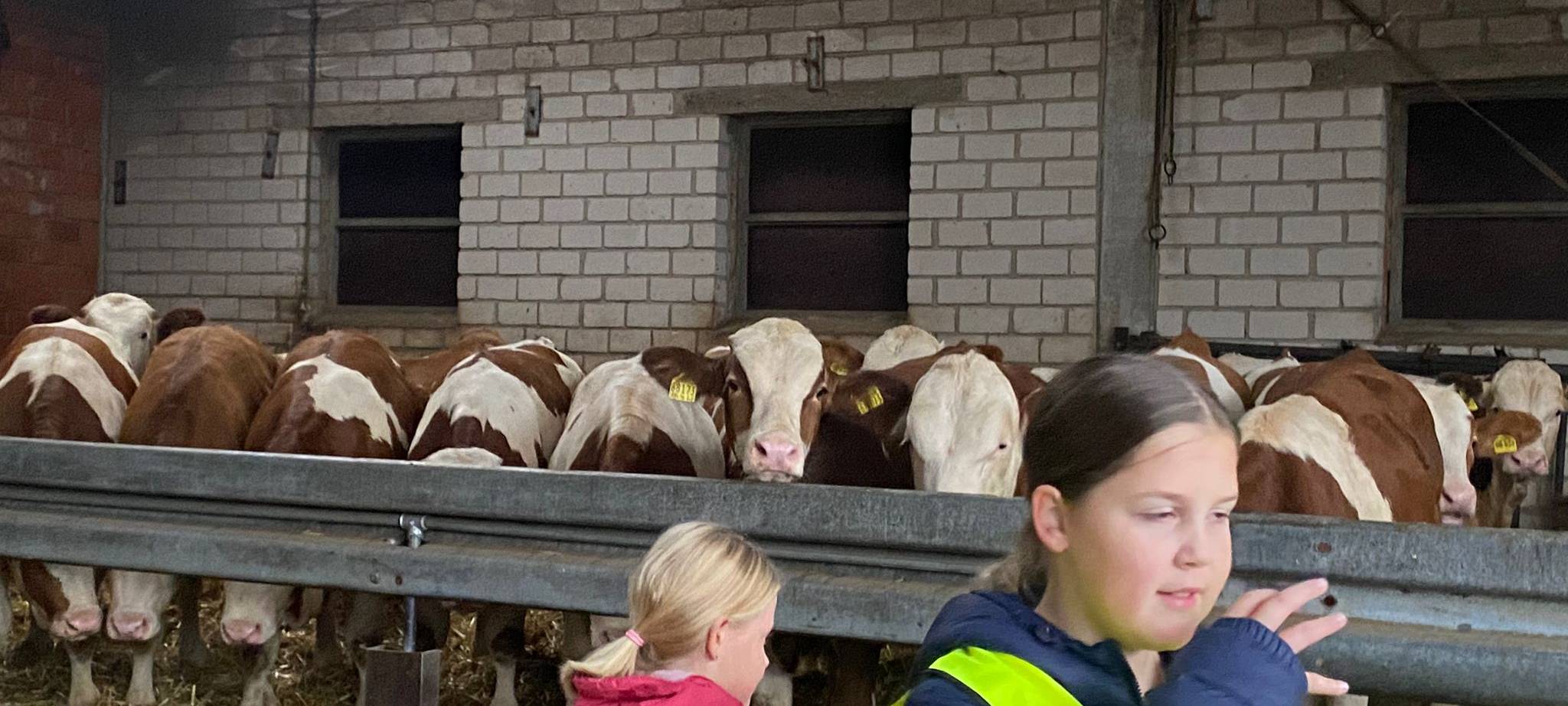 Grundschule veranstaltet Bauernhof-Projektwoche