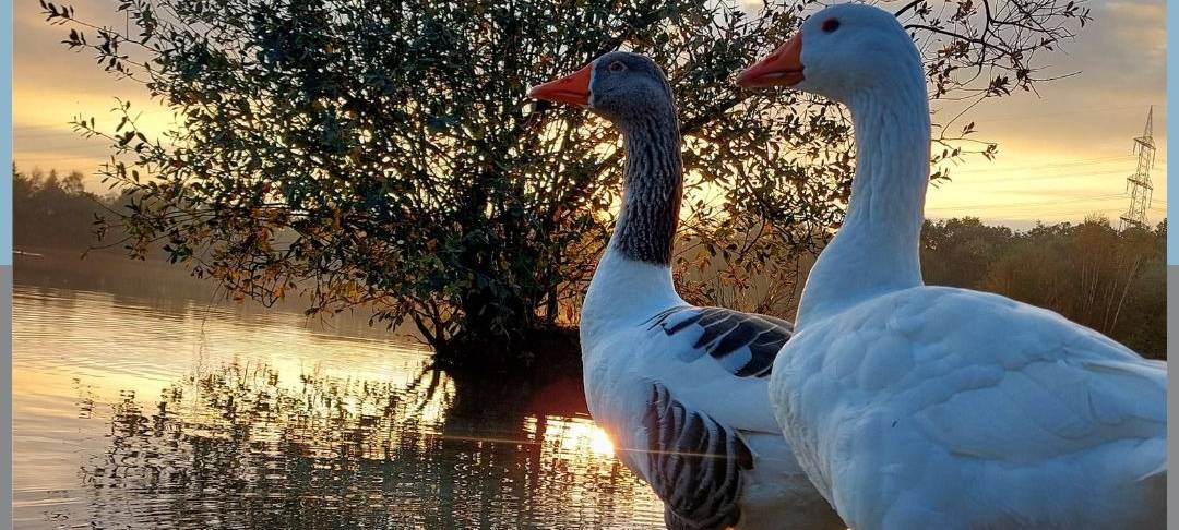 Dein Foto der Woche 2023