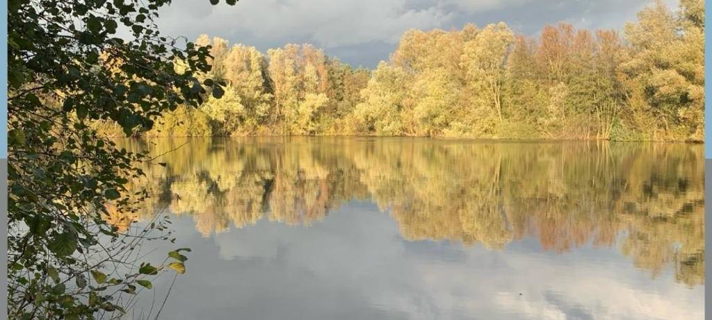 Dein Foto der Woche 2023